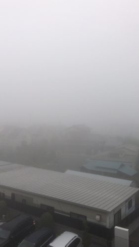 本日の濃霧